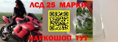 амфетамин Можга